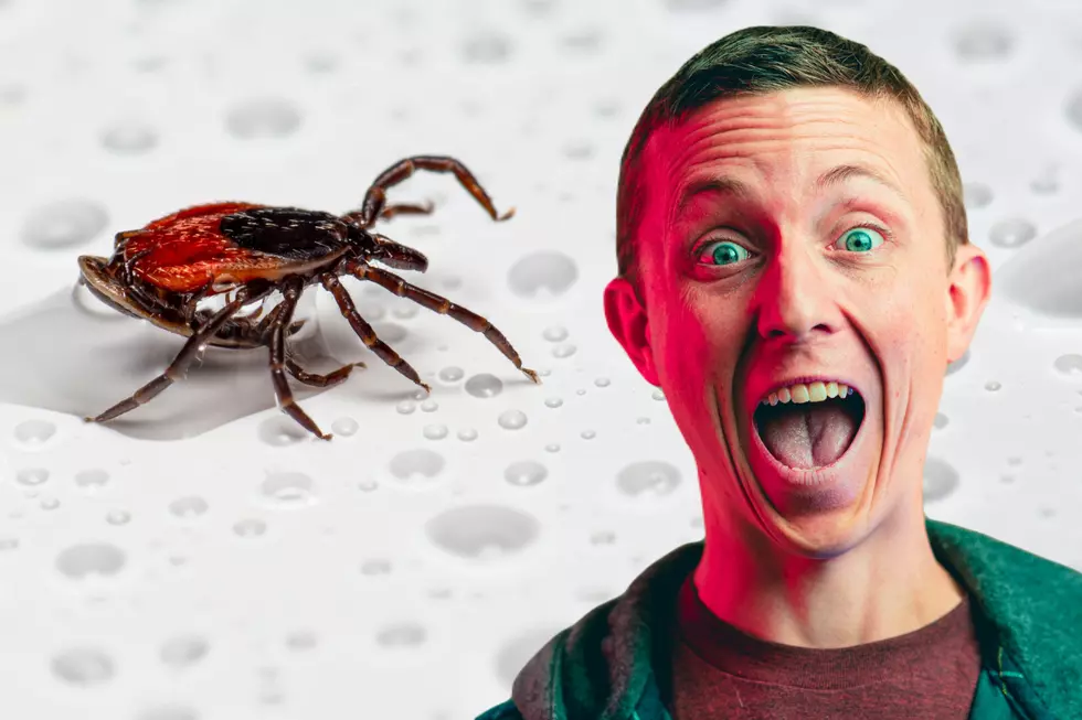 Extremely Rare Tick-Borne Virus Discovered in Maine
