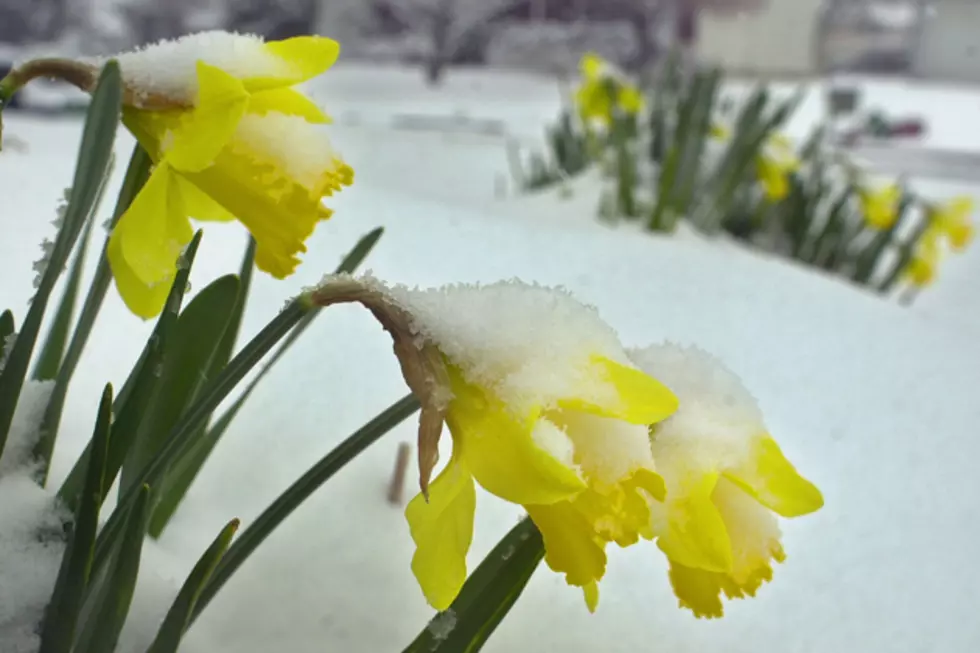 10 Classic Mistakes Mainers Make When Spring Weather Comes Too Early
