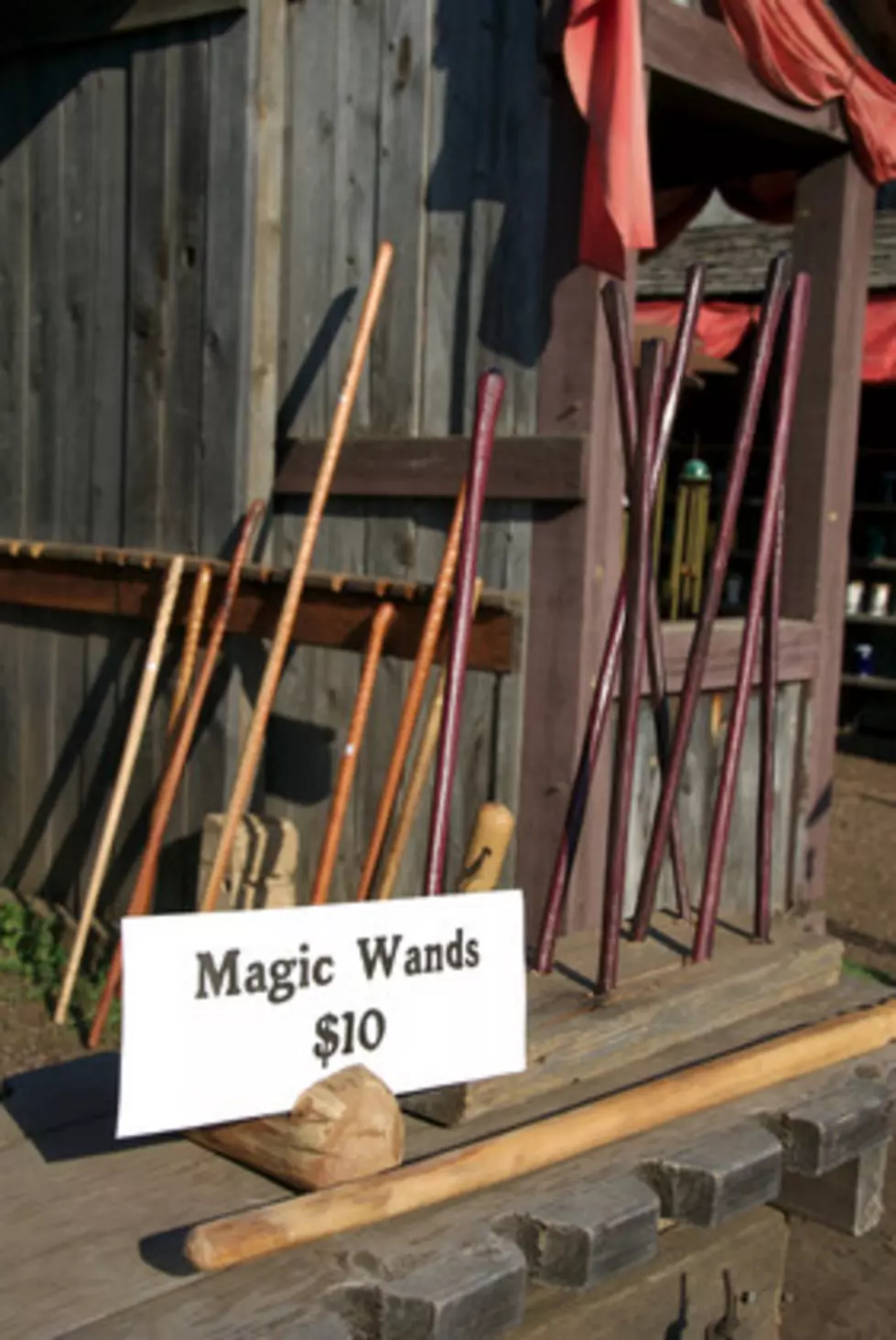 In Honor of 20th Anniversary, Local Writer Reimagines Harry Potter as a Mainer