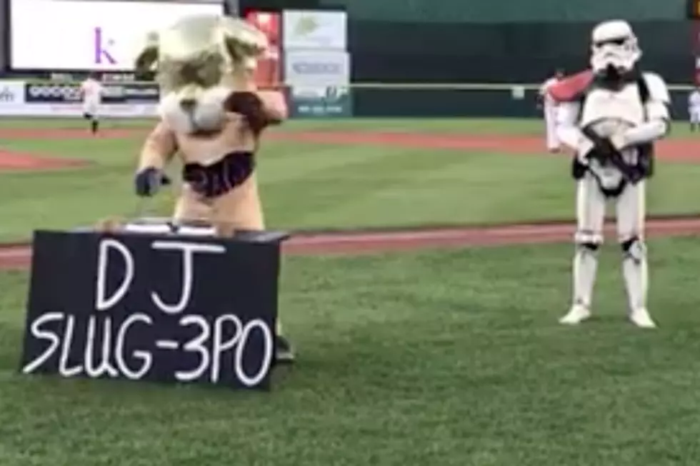 WATCH: Slugger The Sea Dog Transforms Into DJ Slug-3PO During Star Wars Night