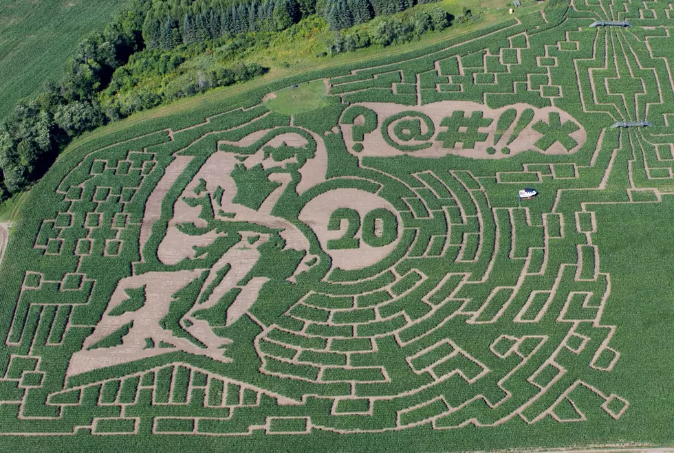 ROAD TRIP WORTHY: Get Lost Inside New England’s Largest Corn Maze