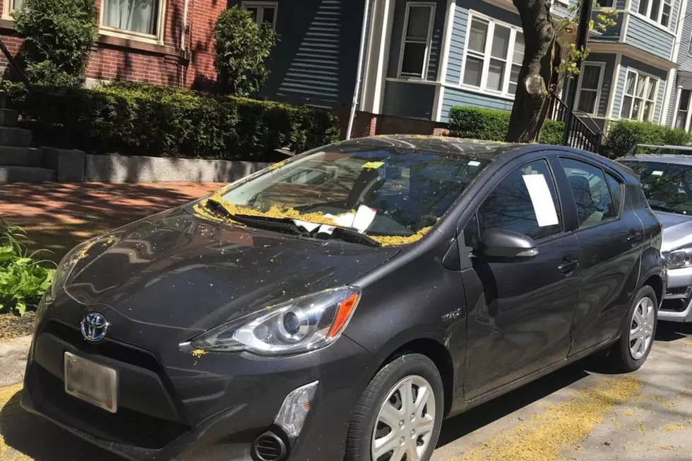 The Owner Of This Car Has Received 62 Parking Tickets In Portland In The Last 17 Months
