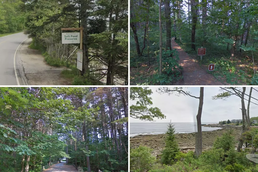 One of the Most Peaceful Tourist Attractions in the Nation is in Wells, Maine
