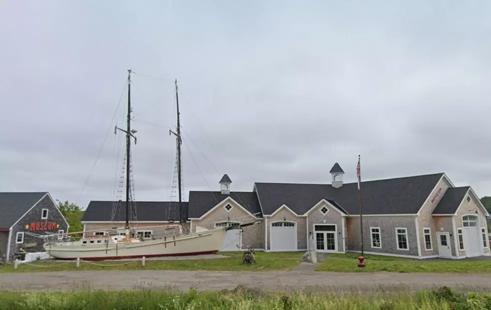 Animal Lovers Need to Visit This One-of-its-Kind Museum in Rockland, Maine