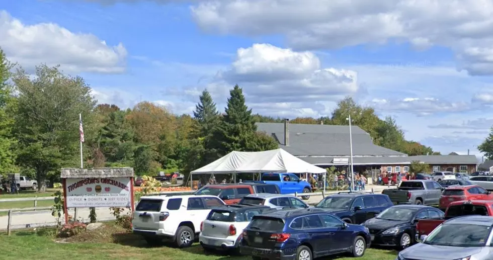 Where to Find the Best Apple Cider Donuts in Maine